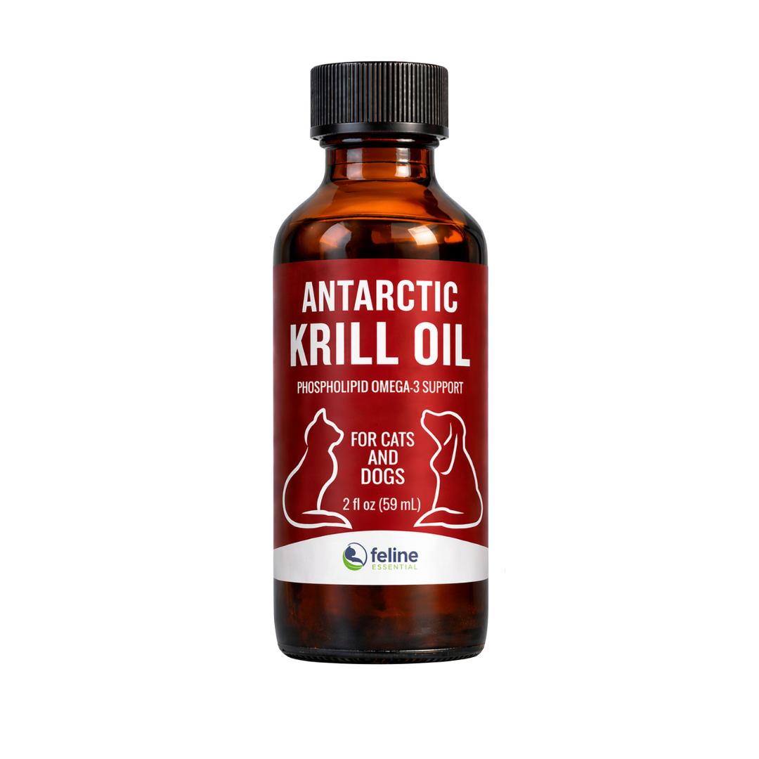 Antarctic Krill