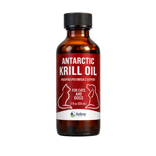 Antarctic Krill
