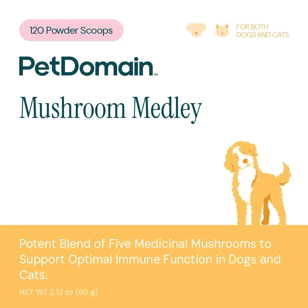 Mushroom Medley