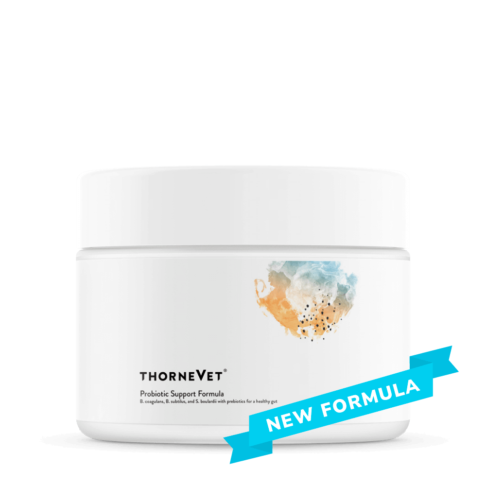 Probiotic Support Formula Powder