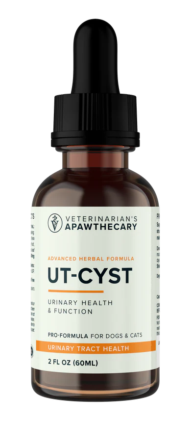 UT-Cyst