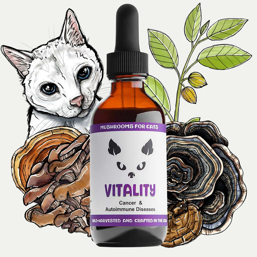 MycoCat Vitality