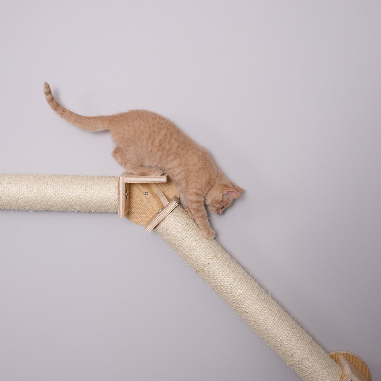 Wall Climbing Cat Post