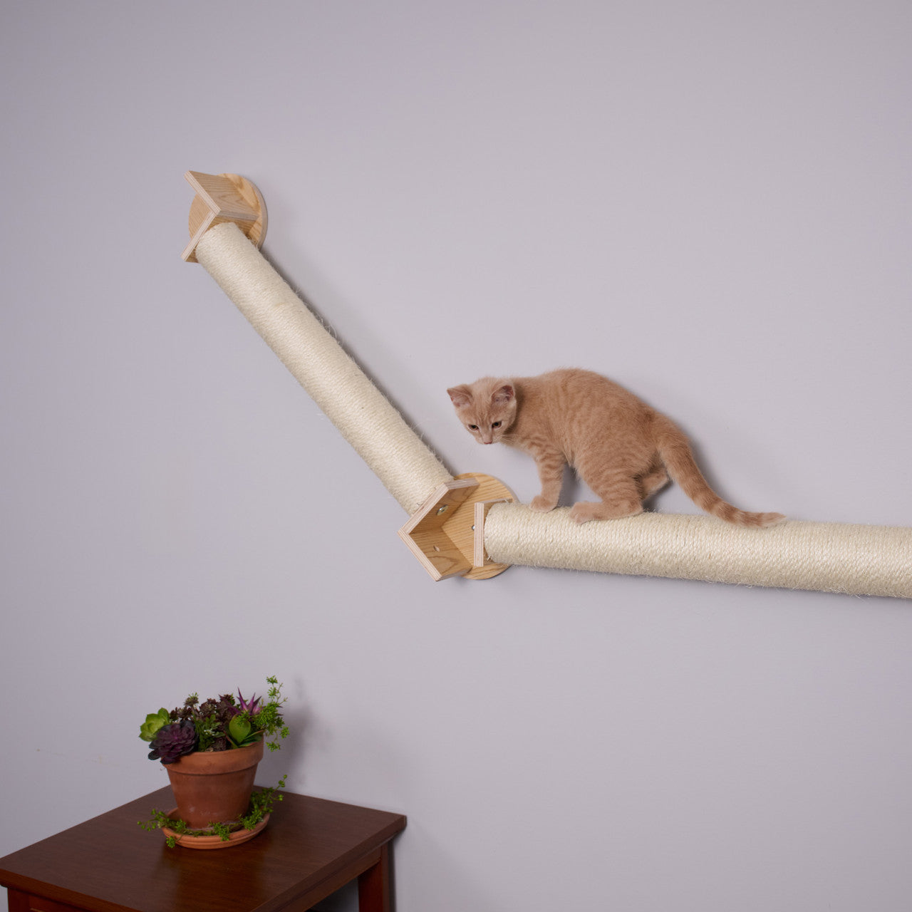 Wall Climbing Cat Post