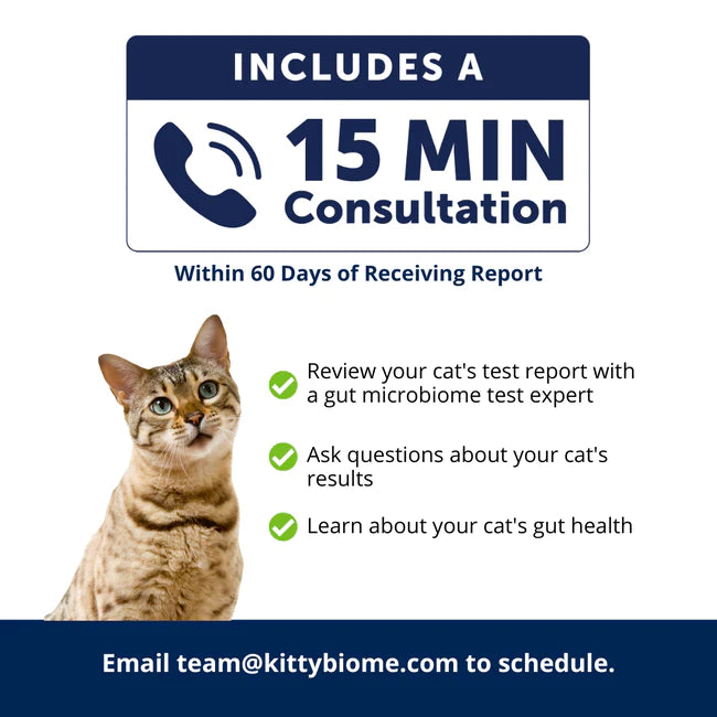 KittyBiome Gut Health Test