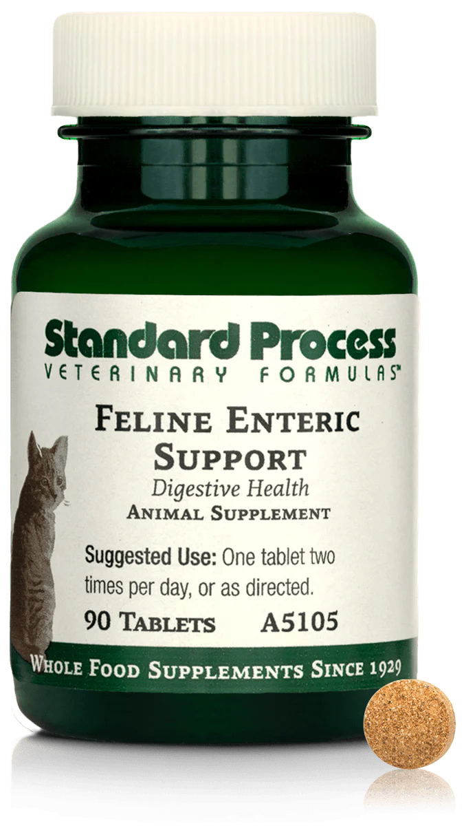 Feline Enteric Support