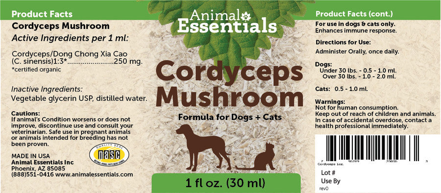 Cordyceps Mushrooms for Dogs & Cats