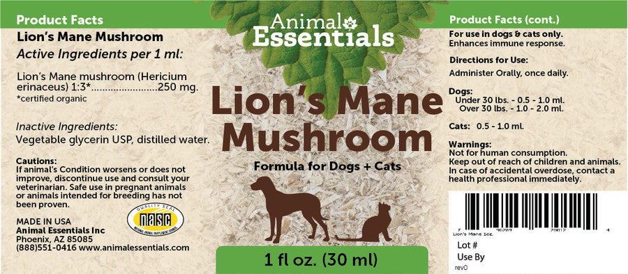 Lion's Mane Mushroom for Dogs & Cats