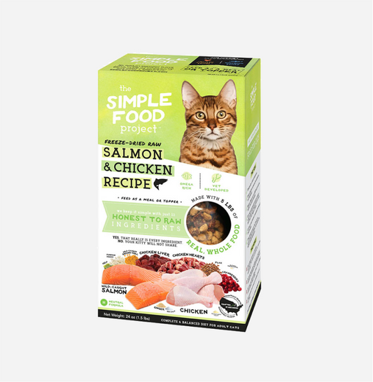 Salmon & Chicken Recipe for Cats