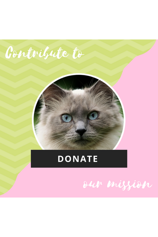 Donate To Purrrfectly Holistic