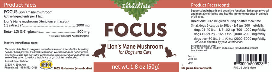 Focus Lion's Mane Mushroom