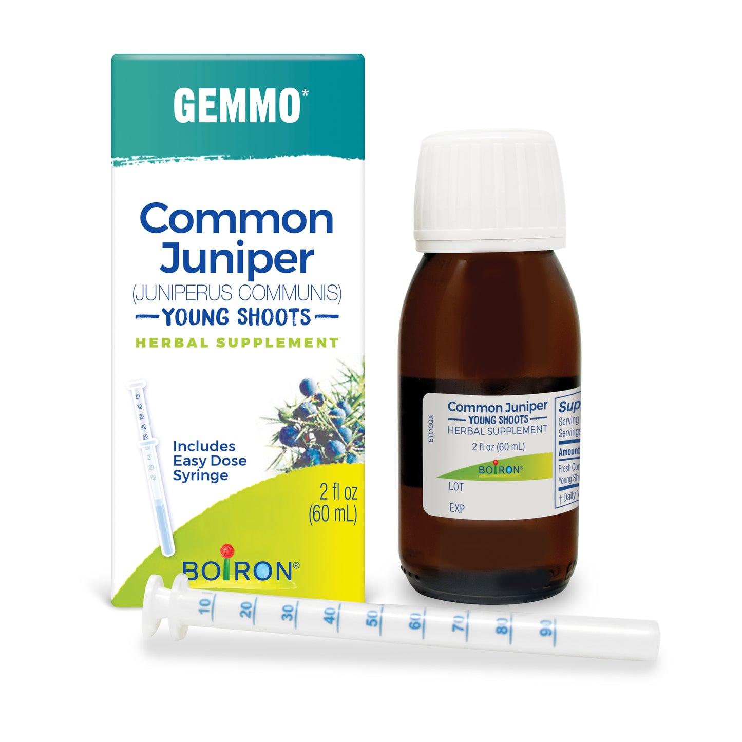 Common Juniper