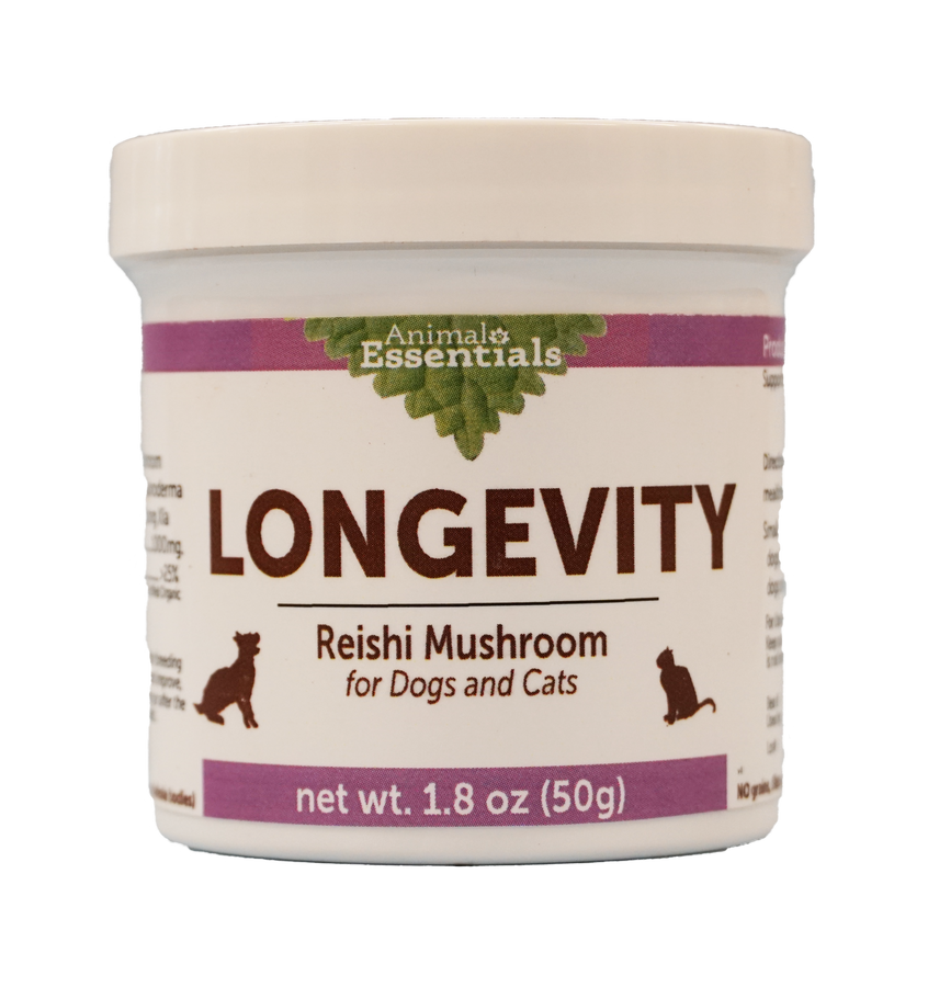 Longevity Reishi Mushroom