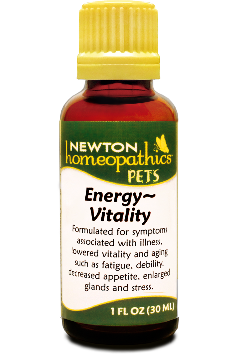 Newton Energy/Vitality