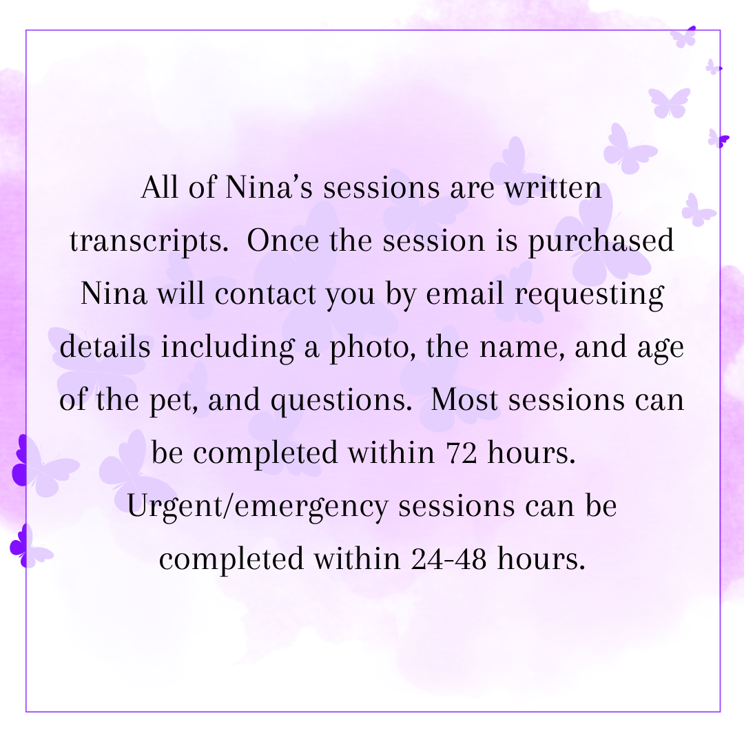 Animal Communication with Nina