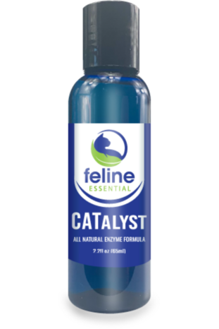 CATalyst Antioxidant Enzyme Formula