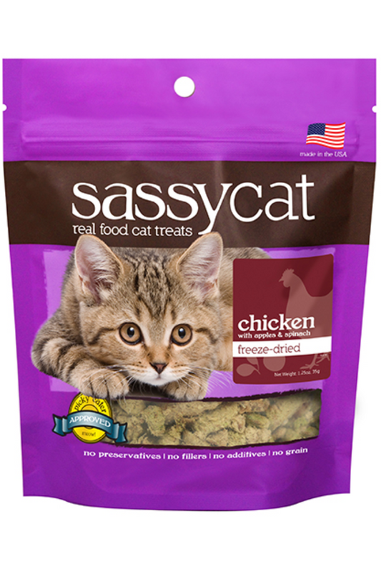 Sassy Cat Real Food Cat Treats (6 flavors)