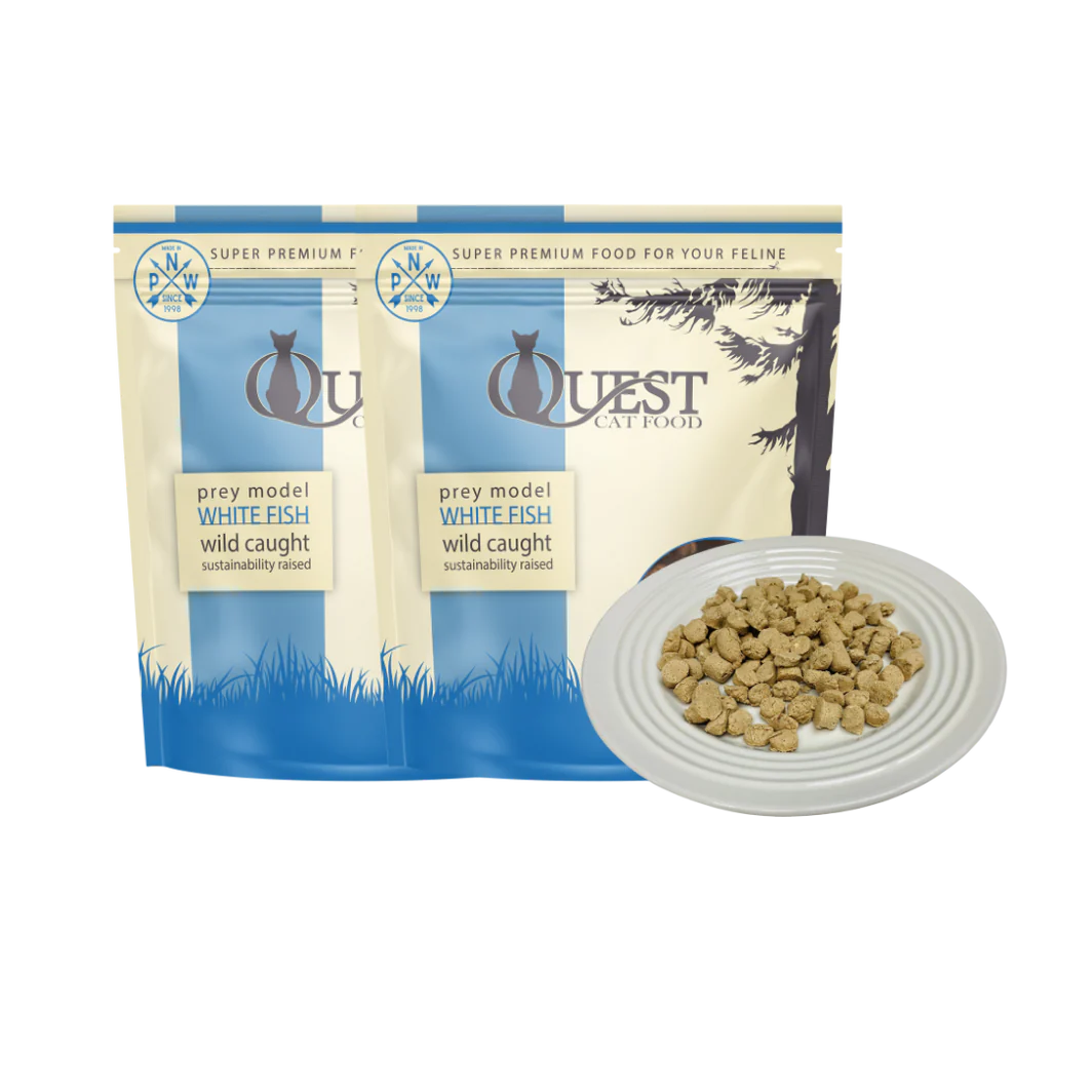 Quest White Fish Freeze Dried Cat Food